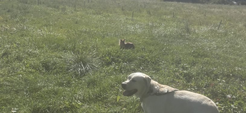 IMG_4191 - Claude Girard